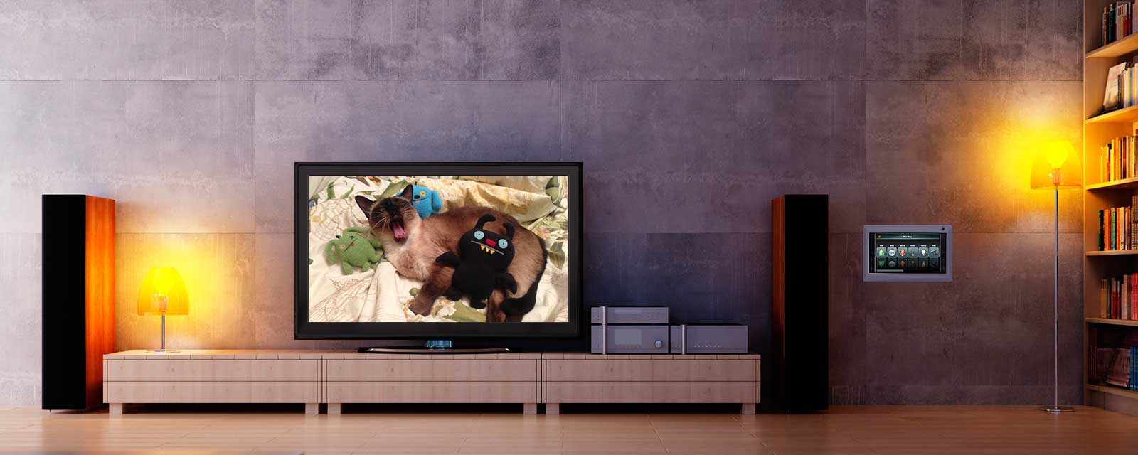 Living Room with Control